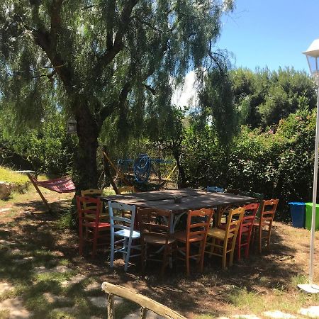 Bed and Breakfast La Pappaghezza Bari Esterno foto